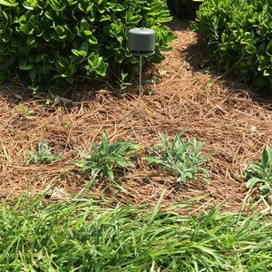 Meet your Posher, Jonna